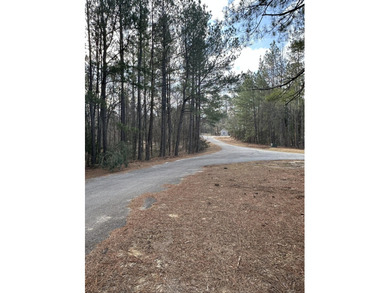Large & Secluded 0.60 Acre Residential Lot in the Shenandoah on Monticello Golf Club At Savannah Lakes in South Carolina - for sale on GolfHomes.com, golf home, golf lot