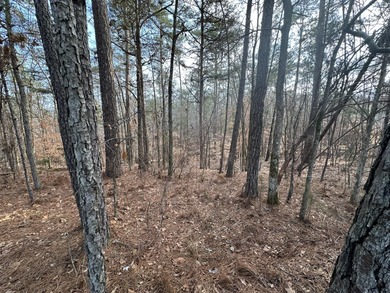 Large & Secluded 0.60 Acre Residential Lot in the Shenandoah on Monticello Golf Club At Savannah Lakes in South Carolina - for sale on GolfHomes.com, golf home, golf lot