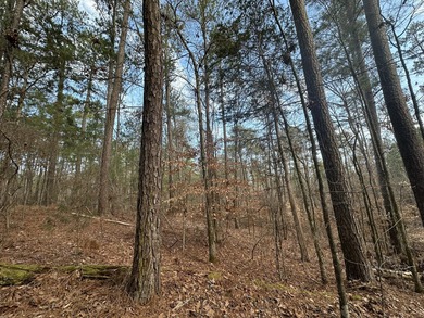 Large & Secluded 0.60 Acre Residential Lot in the Shenandoah on Monticello Golf Club At Savannah Lakes in South Carolina - for sale on GolfHomes.com, golf home, golf lot