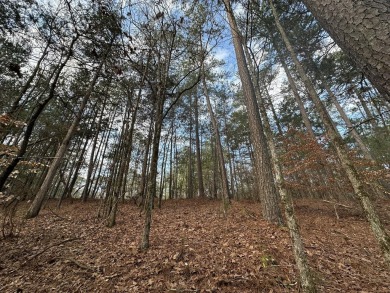 Large & Secluded 0.60 Acre Residential Lot in the Shenandoah on Monticello Golf Club At Savannah Lakes in South Carolina - for sale on GolfHomes.com, golf home, golf lot
