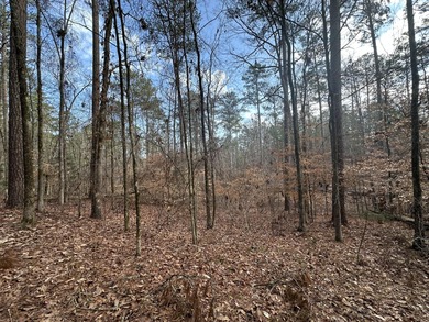 Large & Secluded 0.60 Acre Residential Lot in the Shenandoah on Monticello Golf Club At Savannah Lakes in South Carolina - for sale on GolfHomes.com, golf home, golf lot