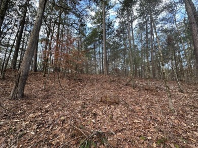 Large & Secluded 0.60 Acre Residential Lot in the Shenandoah on Monticello Golf Club At Savannah Lakes in South Carolina - for sale on GolfHomes.com, golf home, golf lot