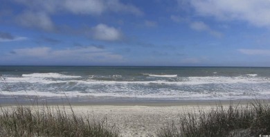 Welcome to your serene woodland, coastal escape in the highly on Tidewater Golf Club and Plantation in South Carolina - for sale on GolfHomes.com, golf home, golf lot