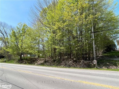 Introducing an exceptional opportunity to create your dream home on Cobble Beach Golf in  - for sale on GolfHomes.com, golf home, golf lot