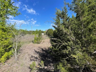 Beautiful cul-de-sac lot in White Bluff. White Bluff is resort on White Bluff Resort - New Course in Texas - for sale on GolfHomes.com, golf home, golf lot