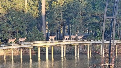 Private Gated, World Class, Golf Neighborhood Lot. The Jack on Bay Creek Golf Club in Virginia - for sale on GolfHomes.com, golf home, golf lot