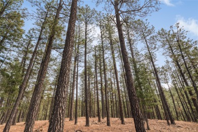 Beautiful and tranquil lot forested with Ponderosa pine. High up on Pendaries Village Community Assoc. in New Mexico - for sale on GolfHomes.com, golf home, golf lot