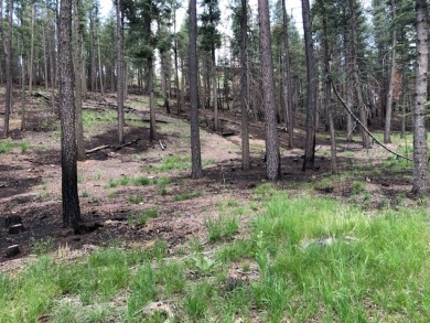 Beautiful and tranquil lot forested with Ponderosa pine. High up on Pendaries Village Community Assoc. in New Mexico - for sale on GolfHomes.com, golf home, golf lot