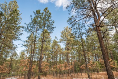 Beautiful and tranquil lot forested with Ponderosa pine. High up on Pendaries Village Community Assoc. in New Mexico - for sale on GolfHomes.com, golf home, golf lot