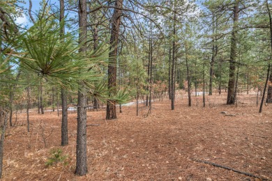 Beautiful and tranquil lot forested with Ponderosa pine. High up on Pendaries Village Community Assoc. in New Mexico - for sale on GolfHomes.com, golf home, golf lot