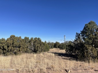This lot has a lot to offer.  Perfect for a park model, or on Juniper Ridge R.V. Golf Resort in Arizona - for sale on GolfHomes.com, golf home, golf lot