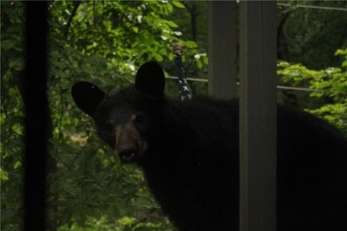 This ranch home over a crawl space sits on 1.03 acres in a quiet on Bent Tree Golf Course in Georgia - for sale on GolfHomes.com, golf home, golf lot