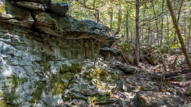 10.2 Acres in Mountain Home, Arkansas - Near White River Nestled on Big Creek Golf and Country Club in Arkansas - for sale on GolfHomes.com, golf home, golf lot