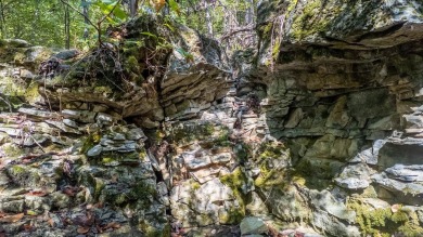 10.2 Acres in Mountain Home, Arkansas - Near White River Nestled on Big Creek Golf and Country Club in Arkansas - for sale on GolfHomes.com, golf home, golf lot