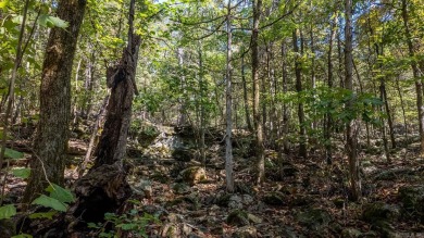 10.2 Acres in Mountain Home, Arkansas - Near White River Nestled on Big Creek Golf and Country Club in Arkansas - for sale on GolfHomes.com, golf home, golf lot