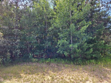 Build your dream home with views of the fairway and a return tee on Black Bear Golf Club in Michigan - for sale on GolfHomes.com, golf home, golf lot