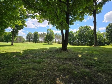 Build your dream home with views of the fairway and a return tee on Black Bear Golf Club in Michigan - for sale on GolfHomes.com, golf home, golf lot