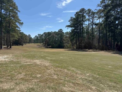 In the heart of RAYBURN COUNTRY, sits this beautiful golf course on Rayburn Country Club in Texas - for sale on GolfHomes.com, golf home, golf lot