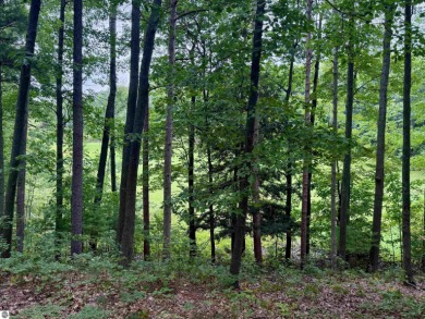 Discover a one-of-a-kind opportunity to build your dream cottage on  in Michigan - for sale on GolfHomes.com, golf home, golf lot
