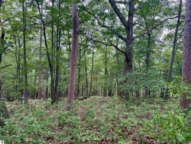 Discover a one-of-a-kind opportunity to build your dream cottage on  in Michigan - for sale on GolfHomes.com, golf home, golf lot