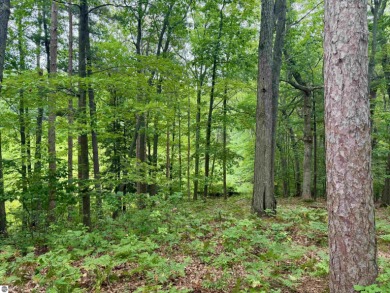 Discover a one-of-a-kind opportunity to build your dream cottage on  in Michigan - for sale on GolfHomes.com, golf home, golf lot