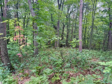 Discover a one-of-a-kind opportunity to build your dream cottage on  in Michigan - for sale on GolfHomes.com, golf home, golf lot