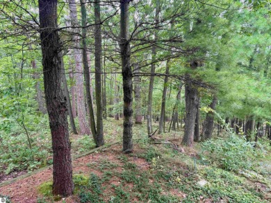 Discover a one-of-a-kind opportunity to build your dream cottage on  in Michigan - for sale on GolfHomes.com, golf home, golf lot