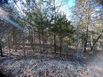 Lovely .34 acre lot that is one of the flatest lots in Holiday on Holiday Island Executive Golf Course in Arkansas - for sale on GolfHomes.com, golf home, golf lot