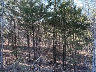 Lovely .34 acre lot that is one of the flatest lots in Holiday on Holiday Island Executive Golf Course in Arkansas - for sale on GolfHomes.com, golf home, golf lot