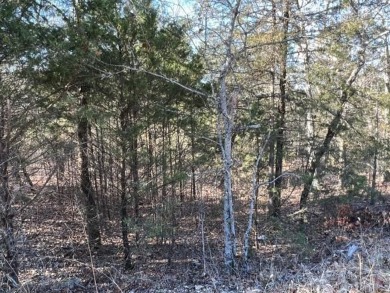 Lovely .34 acre lot that is one of the flatest lots in Holiday on Holiday Island Executive Golf Course in Arkansas - for sale on GolfHomes.com, golf home, golf lot