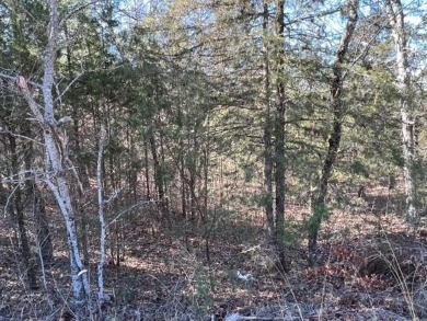 Lovely .34 acre lot that is one of the flatest lots in Holiday on Holiday Island Executive Golf Course in Arkansas - for sale on GolfHomes.com, golf home, golf lot