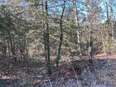 Lovely .34 acre lot that is one of the flatest lots in Holiday on Holiday Island Executive Golf Course in Arkansas - for sale on GolfHomes.com, golf home, golf lot