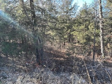 Lovely .34 acre lot that is one of the flatest lots in Holiday on Holiday Island Executive Golf Course in Arkansas - for sale on GolfHomes.com, golf home, golf lot