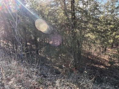 Lovely .34 acre lot that is one of the flatest lots in Holiday on Holiday Island Executive Golf Course in Arkansas - for sale on GolfHomes.com, golf home, golf lot