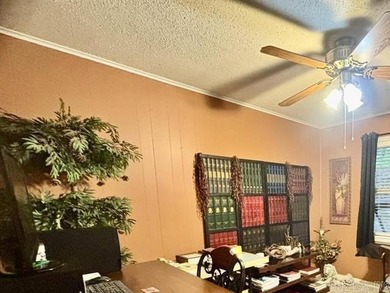 WHAT A BUY!  Adorable and well maintained three-bedroom home on DeSoto Golf Course in Arkansas - for sale on GolfHomes.com, golf home, golf lot