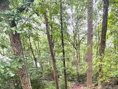 WHAT A BUY!  Adorable and well maintained three-bedroom home on DeSoto Golf Course in Arkansas - for sale on GolfHomes.com, golf home, golf lot