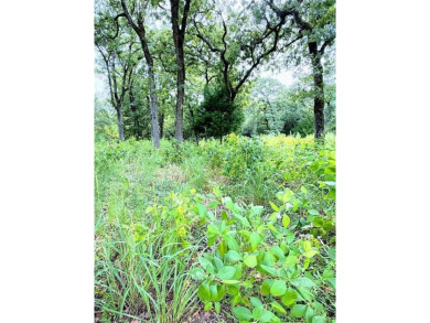 Great water view lot with so much potential at desirable Hilltop on Hilltop Lakes Resort Golf Club in Texas - for sale on GolfHomes.com, golf home, golf lot