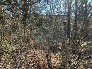 Nice sized lot in Unit 10 of Holiday Island.  This lot is 0.7 on Holiday Island Executive Golf Course in Arkansas - for sale on GolfHomes.com, golf home, golf lot