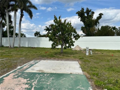 The mango tree survived the storm, and continues to produce on Kelly Greens Golf and Country Club in Florida - for sale on GolfHomes.com, golf home, golf lot
