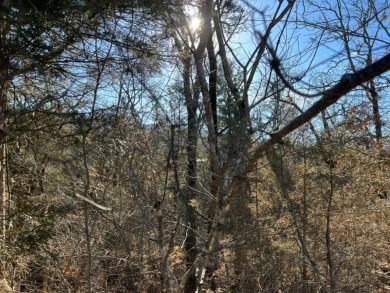 Nice sized lot in Unit 10 of Holiday Island.  This lot is 0.7 on Holiday Island Executive Golf Course in Arkansas - for sale on GolfHomes.com, golf home, golf lot