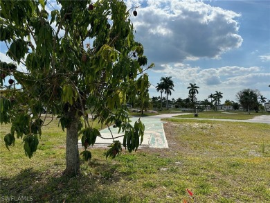 The mango tree survived the storm, and continues to produce on Kelly Greens Golf and Country Club in Florida - for sale on GolfHomes.com, golf home, golf lot