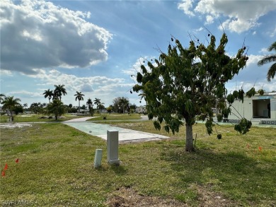The mango tree survived the storm, and continues to produce on Kelly Greens Golf and Country Club in Florida - for sale on GolfHomes.com, golf home, golf lot