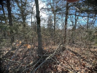 Nice sized lot in Unit 10 of Holiday Island.  This lot is 0.7 on Holiday Island Executive Golf Course in Arkansas - for sale on GolfHomes.com, golf home, golf lot