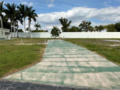 The mango tree survived the storm, and continues to produce on Kelly Greens Golf and Country Club in Florida - for sale on GolfHomes.com, golf home, golf lot