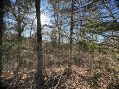 Nice sized lot in Unit 10 of Holiday Island.  This lot is 0.7 on Holiday Island Executive Golf Course in Arkansas - for sale on GolfHomes.com, golf home, golf lot