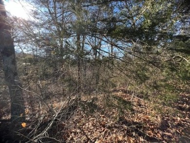 Nice sized lot in Unit 10 of Holiday Island.  This lot is 0.7 on Holiday Island Executive Golf Course in Arkansas - for sale on GolfHomes.com, golf home, golf lot