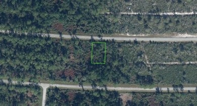 ***Build your dream home from the ground up, with endless on Sun n Lake Golf and Country Club in Florida - for sale on GolfHomes.com, golf home, golf lot