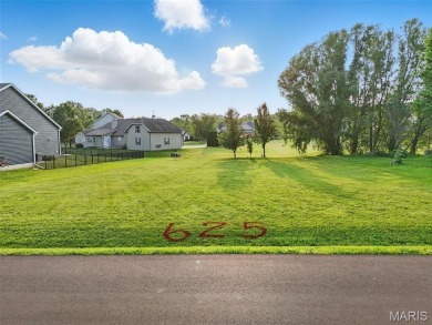 This beautiful, flat, cleared lot near the water is your ticket on Incline Village Golf Course in Missouri - for sale on GolfHomes.com, golf home, golf lot