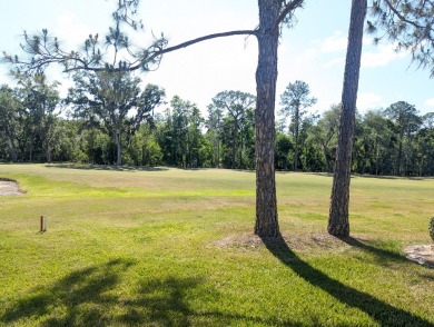 Listed by the Official Sales Team of Cypress Lakes Village on Big Cypress Golf and Country Club in Florida - for sale on GolfHomes.com, golf home, golf lot