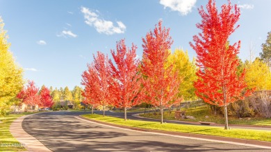 Build your dream home in Pine Canyon, Flagstaff in one of the on Pine Canyon Golf Course in Arizona - for sale on GolfHomes.com, golf home, golf lot